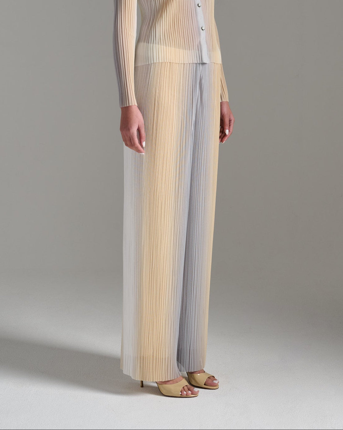 Wide Leg Pleated Pants - Ecru Silver Gold