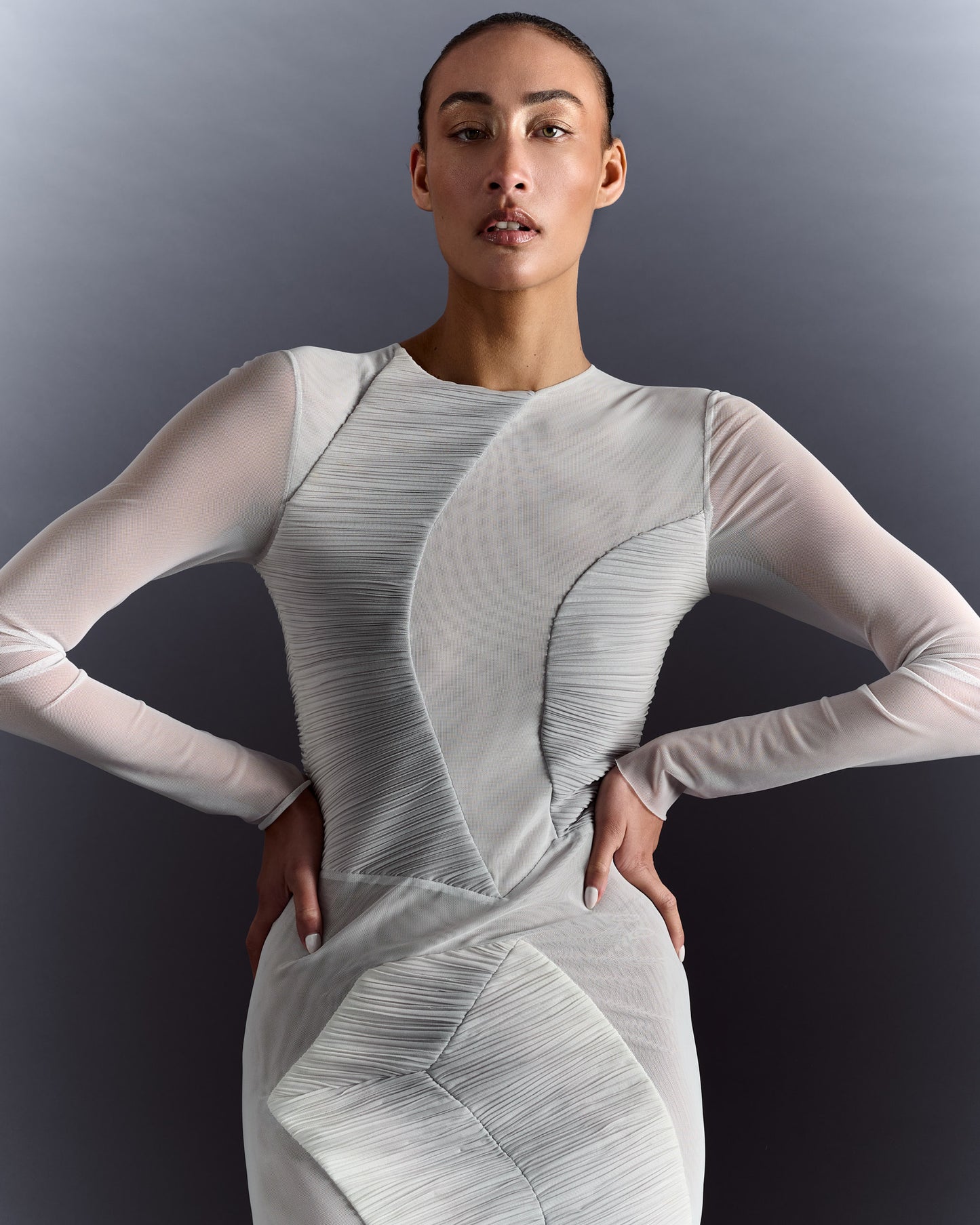 Long Sleeve Pleated Sheer Dress - Grey Silver