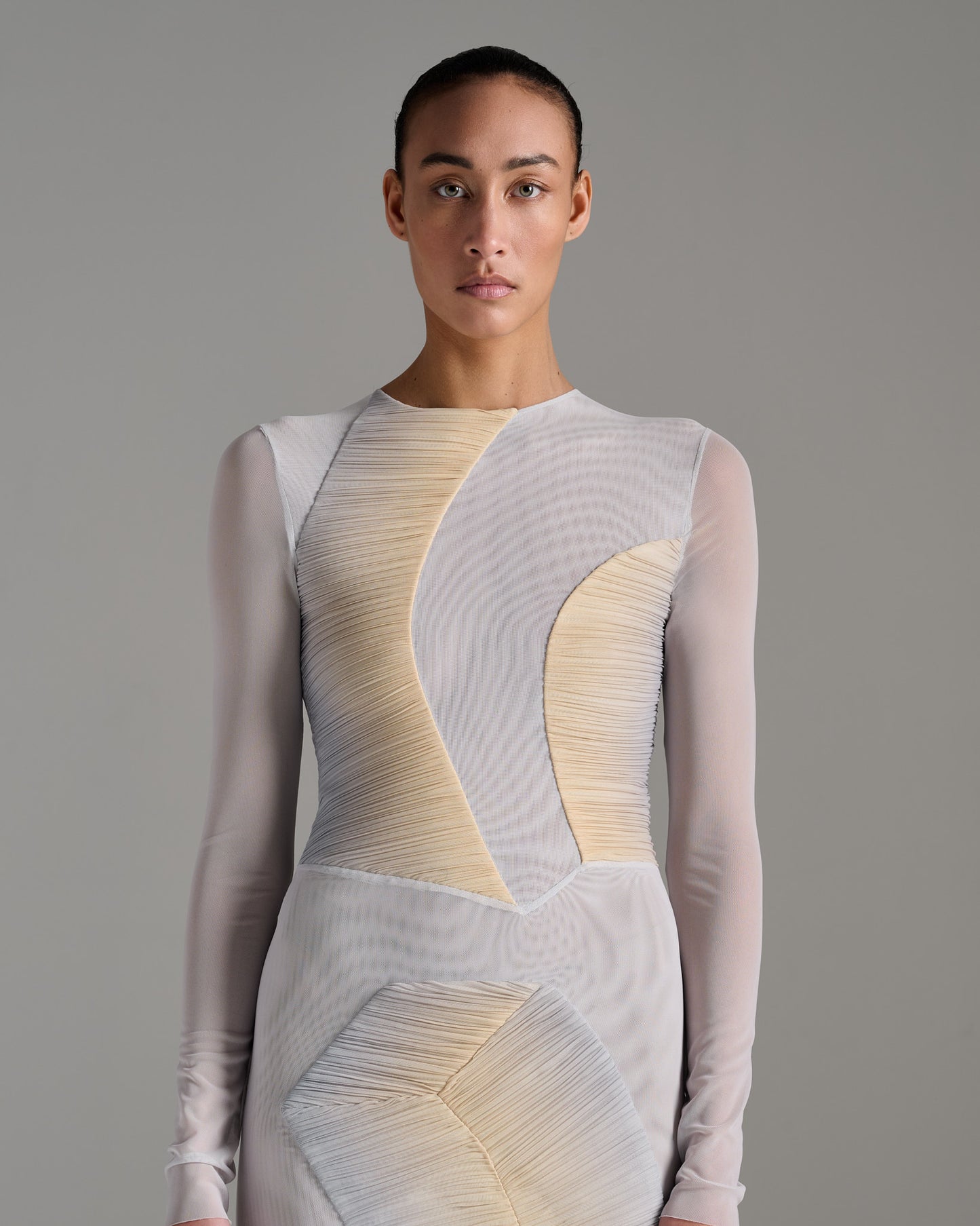 Long Sleeve Pleated Sheer Dress - Grey Gold